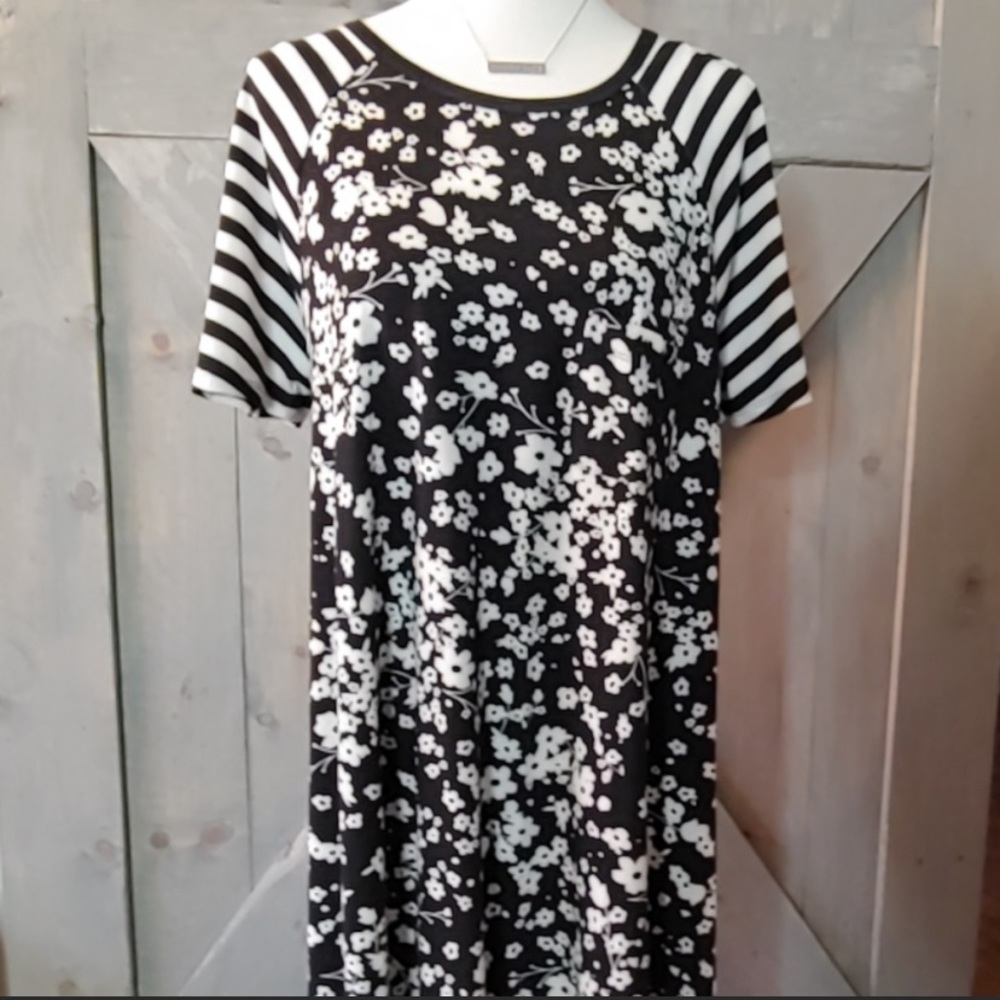 LulaRoe Carly - Large